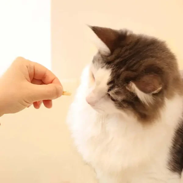 おやつサプリ - 画像 (4)