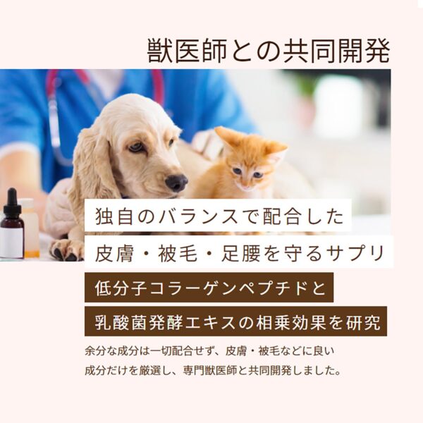 PREMEAL スキンコート - 画像 (4)