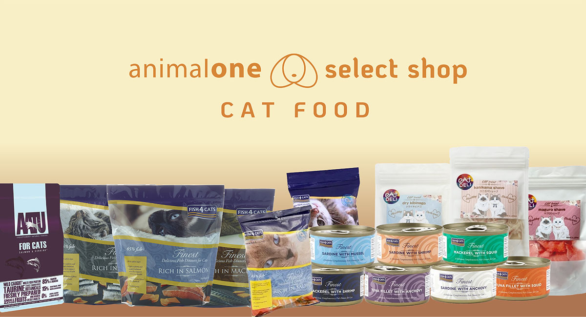 animalone_cat