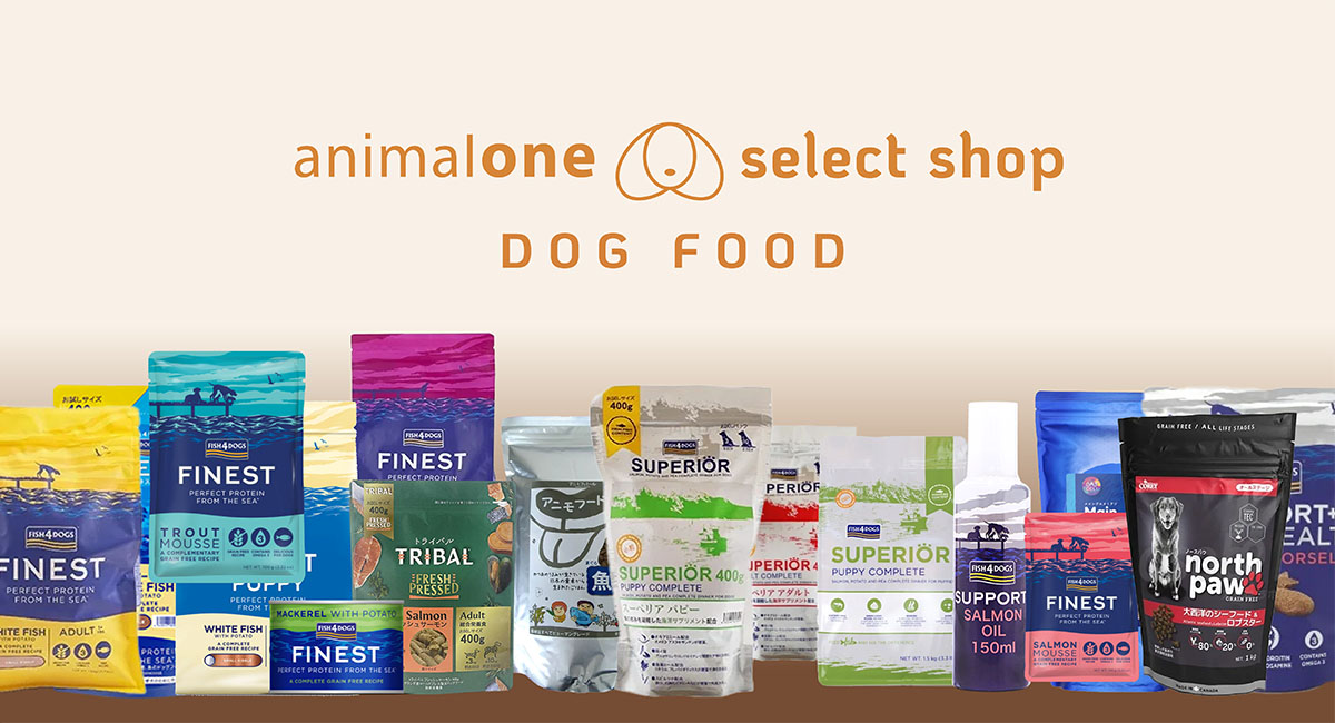 animalone_dog