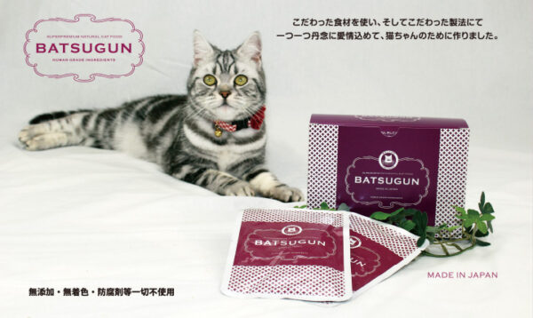 チヨペット  BATSUGUN　CAT　魚 40gx10 - 画像 (21)
