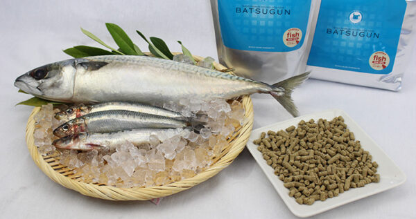 チヨペット  BATSUGUN　魚 1kg - 画像 (28)