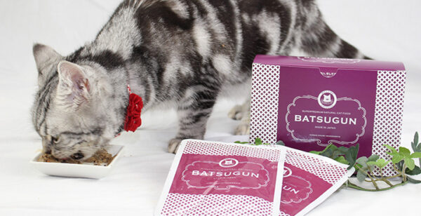 チヨペット  BATSUGUN　CAT　魚 40gx10 - 画像 (20)