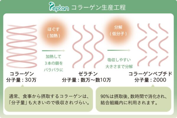 PREMEAL スキンコート - 画像 (7)